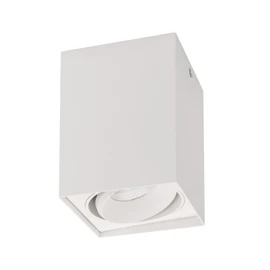 Фото #1 товара Светильник SP-CUBUS-S100x100WH-11W Day White 40deg (Arlight, IP20 Металл, 3 года)