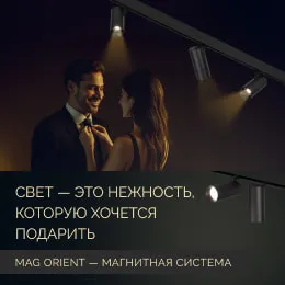 MAG Orient — функциональная магнитная система