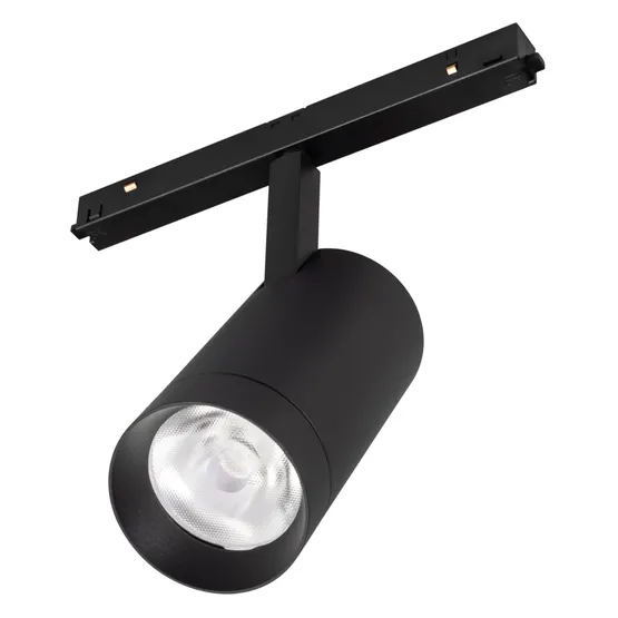 Фото #1 товара Светильник MAG-ORIENT-SPOT-R65-20W Warm3000 (BK, 24 deg, 48V) (Arlight, IP20 Металл, 5 лет)