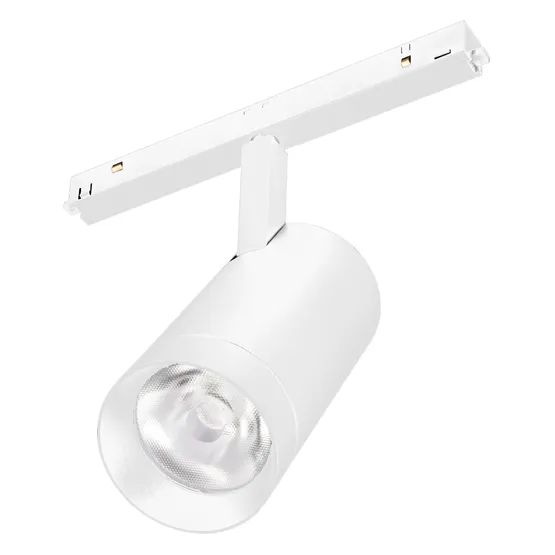 Фото #1 товара Светильник MAG-ORIENT-SPOT-R65-20W Warm3000 (WH, 24 deg, 48V) (Arlight, IP20 Металл, 5 лет)