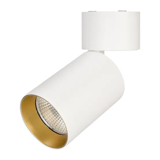 Фото #1 товара Светильник SP-POLO-SURFACE-FLAP-R85-15W Day4000 (WH-GD, 40 deg) (Arlight, IP20 Металл, 3 года)