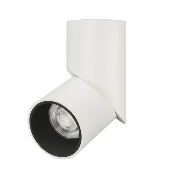 Фото #1 товара Светильник SP-TWIST-SURFACE-R70-12W Warm3000 (WH-BK, 30 deg) (Arlight, IP40 Металл, 3 года)